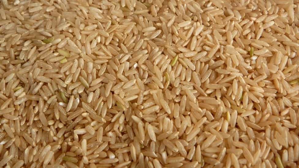What is brown rice?