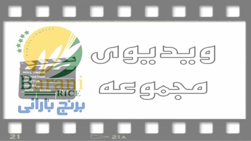 Videos Production and supply of rainfed Mazandaran rice in Kerman